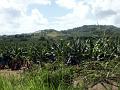 2003-04 martinique 055